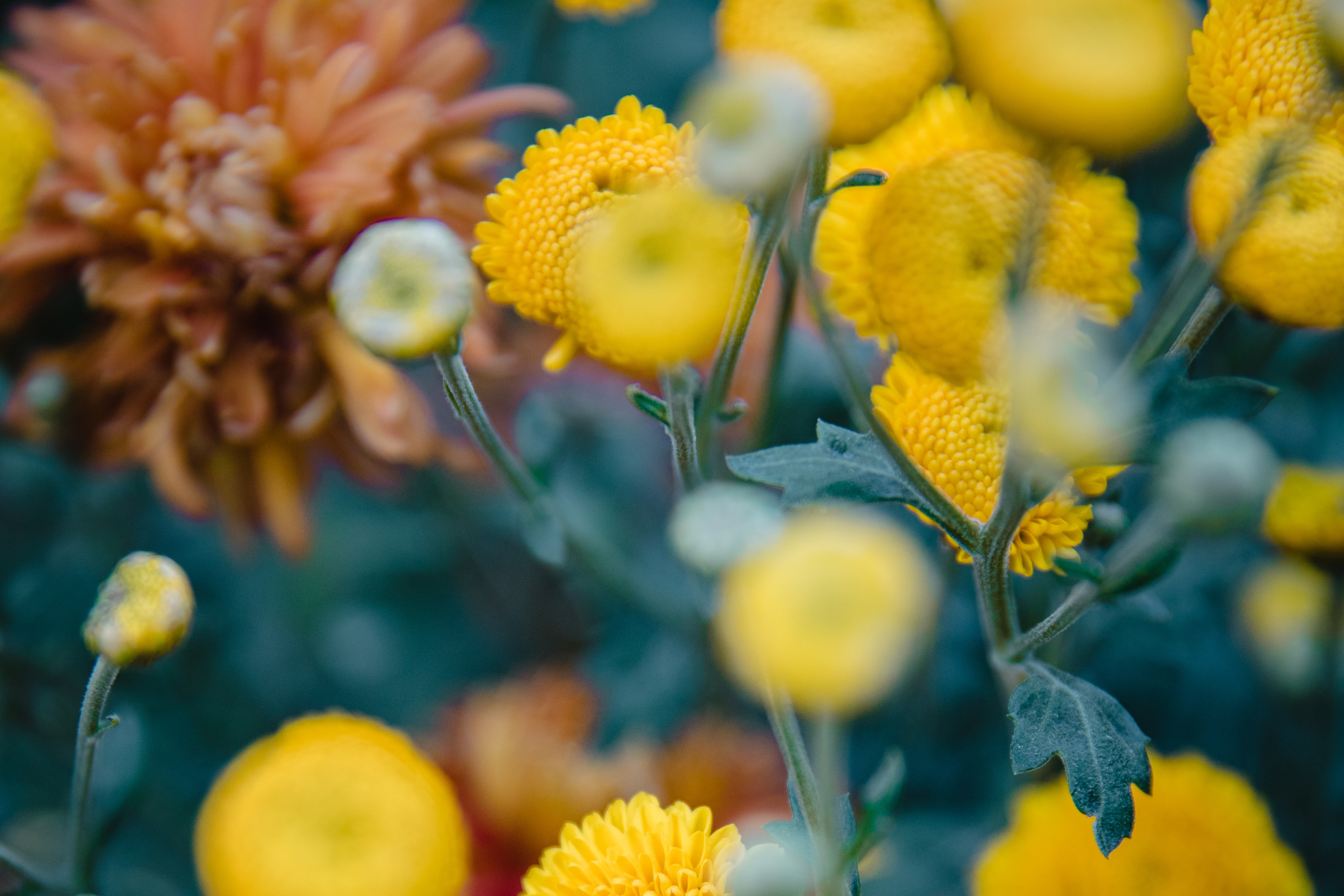 Nejdřív se zeptej, pak pomáhej